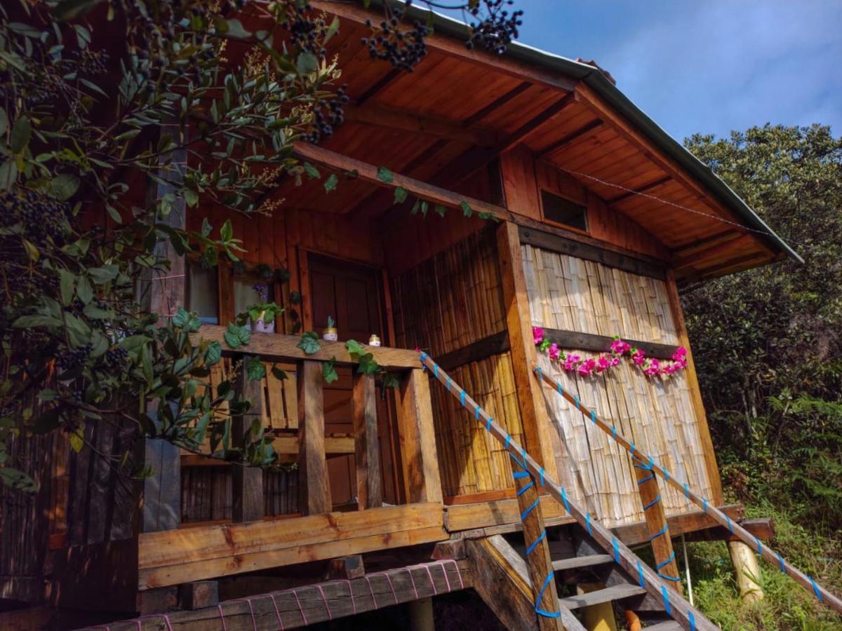 Campsite Entre Rocas Y Cristales